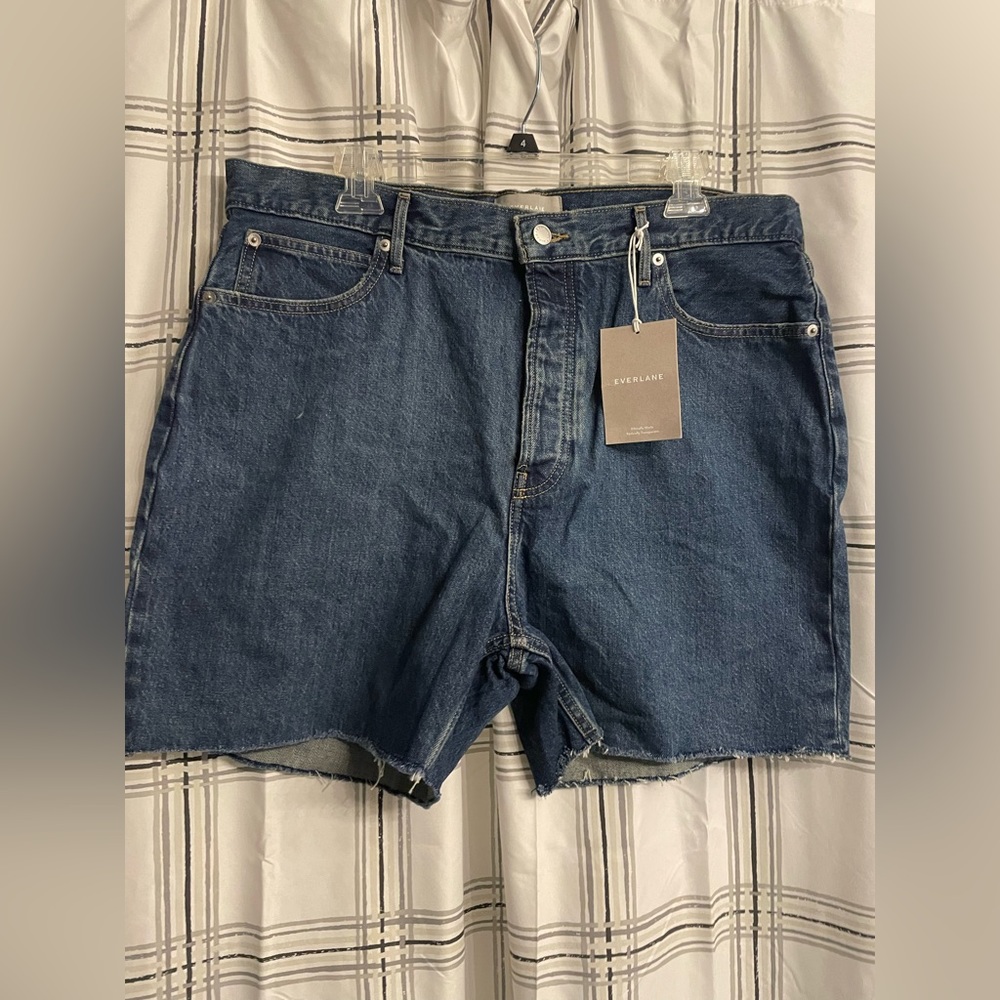 Everlane Rigid Way-High Short